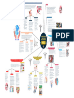 Mapa Conceptual