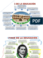 2bases Fines y Objetivos