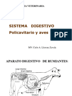 MORFO - T y P - Digest Poligastrico y Aves