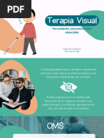 Terapia Visual