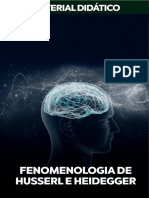 03 Fenomenologia de Husserl e Heidegger