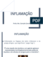 Inflamação - Inflamação Aguda