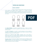 Tipos de Rostros y Formas de Cortes