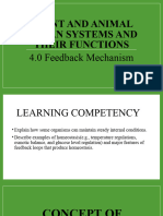 4 0 Feedback Mechanism