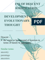 Patterns of Descent With Modification