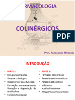 Aula Colinérgico NOVA - 67859142