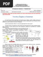 PDF Documento