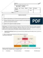 Eva. Formativa N°1 Historia