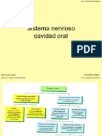 U.D.2.-2.5. - Sistema Nervioso Cavidad Oral