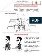 Actividad N 07 Sistema Respiratorio