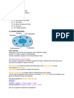 Respiration Science Assessment