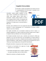 Liquido Extracelular e Intracelular