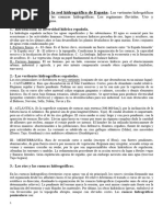 Documento PDF