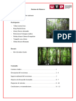 Portafolia Final