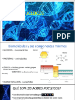 Acidos Nucleicos 1