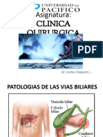 Patologias Das Vias Biliares