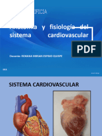 Anatom - Clase 6-Sistema Cardiovascular