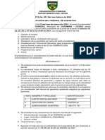 Formatos Acta de Eleccion y Tribunal de Garantias El Progreso