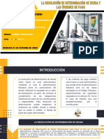 La Resolución de Determinación de Deuda y Las Órdenes de Pago