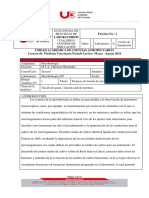 Informe de Prácticas N.1