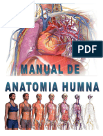 Manualdeanatomiahumana 1 21