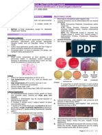 Week 13 - Biochemical ID of GN Bacteria