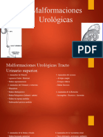 Malformaciones Urológicas