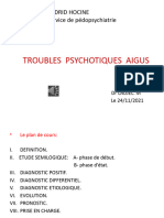 Troubles Psychotiques Aigus TD