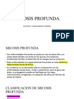 Tema 7 Micosis Profunda