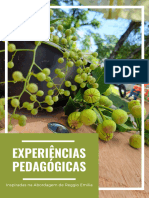 Ebook+-++Experi Ncias+pedag Gicas