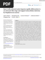 Physiological Reports - 2023 - Zelmer - Saos 2 Cells Cultured Under Hypoxia Rapidly Differentiate To An Osteocyte Like