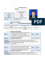 Curriculum Vitae Fernando