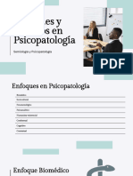 Enfoques y Modelos Psicopatología