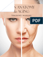 Skin Anatomy and Aging 3