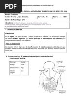 G.3 Función Del Estómago .