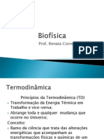 Aula Biofisica Termodinâmica