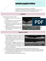 Clase N°16