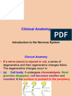 Meninges & CSF