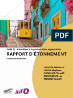 Rapport D'étonnement 2