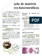 Obtenção de Matéria Pelos Seres Heterotróficos