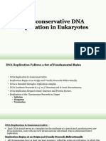 Semi Conservative DNA Replication