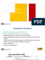 Module 5 PPT Endocrine System and Homeostasis 2022