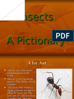 Insects