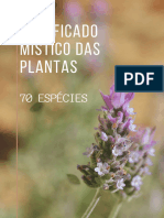 Bônus - Lista de Plantas e Seus Significados