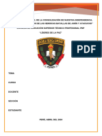 Funciones de La PNP Del 15 Al 30