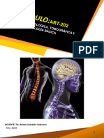 Módulo Anatomia Radiológica 2° Año