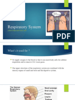 3 - Respiratory System