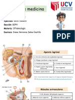 Anatomía Ocular - Oftalmología