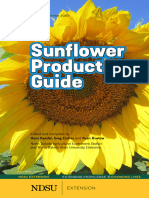 Sun Flower Guide