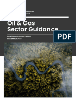 TPT Oil and Gas Sector Guidance